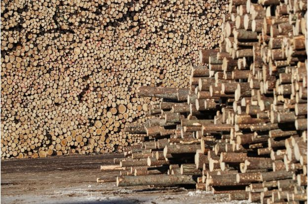 每立方米木材中含有約一噸的二氧化碳，相當於350升汽油。