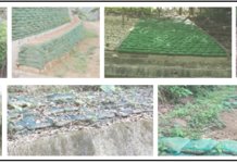 讓你一次看懂!土包袋、客土袋、抗沖蝕網袋 土包袋小型施作處有:自地自建的農舍、渡假小屋、山坡地菜園、茶園、景觀餐廳、民宿、露營地等山區土岸緩坡、小溪岸邊、園區步道緩降坡、涼亭邊坡