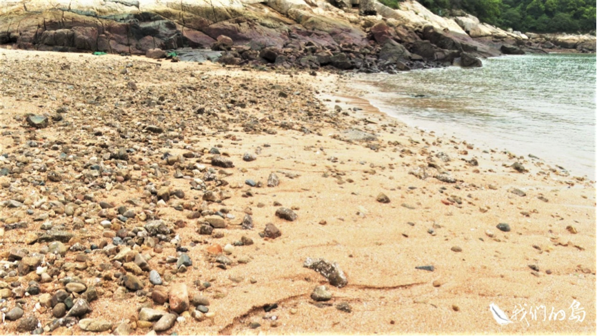 芙蓉澳的海灘，沙子明顯變少，露出粗獷的礫石，會刮破漁家的小船。