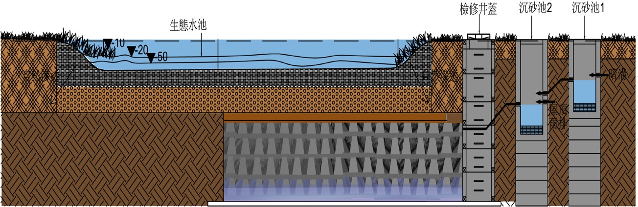 圖 5  於生態池下方設計斷面圖