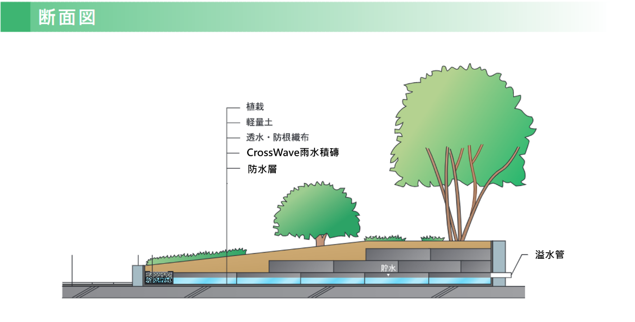 CrossWave雨水積磚配合綠屋頂 斷面圖