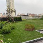 強大的綠化系統-雨水積磚用於綠屋頂 < 綠屋頂與景觀植栽 >