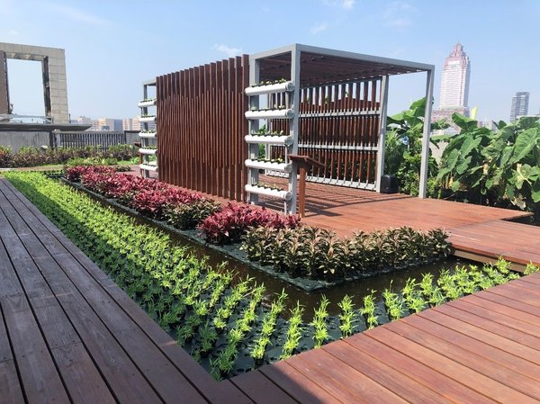 台北市庭園式綠化案例。