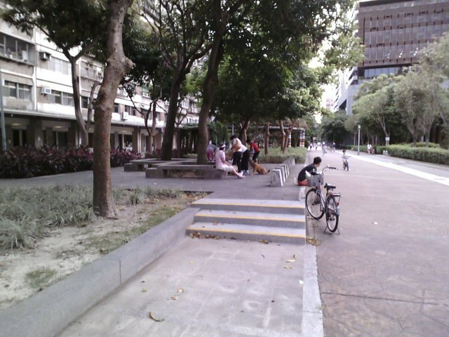 銘傳大學都市規劃與防災學系副教授石婉瑜指出，在道路規劃上，提供跟活動行為相對應的遮蔭型綠化非常重要。