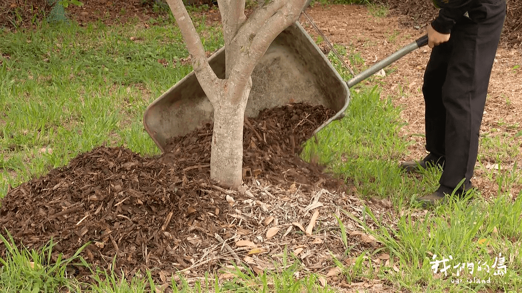 有休閒農場業者申請碎木屑來種植樹木。<圖片來源 / 公視：我們的島 >