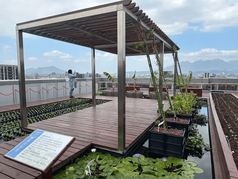 台北市建管處補助社區綠能智慧設施今年邁向第3年，此為陽明海運的屋頂綠化魚菜共生。<圖／台北市建管處提供 >