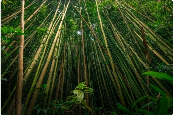 <圖片來源 / unsplash>
