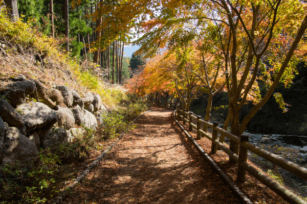 山坡地造景設計 山坡地造景設計
