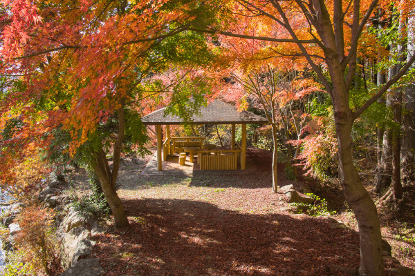 山坡地造景設計