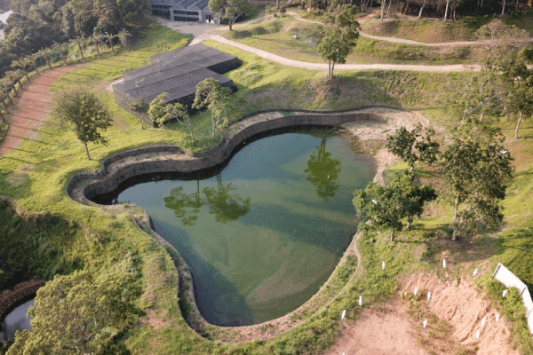 景觀生態池